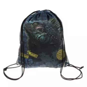 Мешок для обуви Erich Krause, 440 х 365 мм, светоотражающая полоса, Iguana