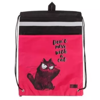 Мешок для обуви Феникс+, 480 x 360 мм, "Крэйзи кот"