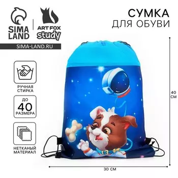 Мешок для обуви «Космический пушистик» (нетканый материал) 4130 см