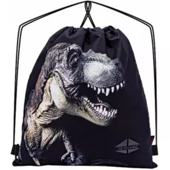 Мешок для обуви, отдел на шнурке, цвет черный 40х45х1см