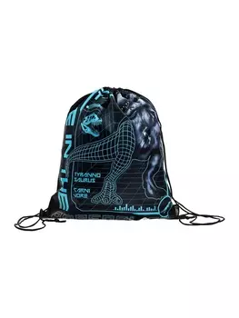 Мешок для обуви SEVENTEEN на шнурке, принтом, размер 480.538 см, чёрный/голубой