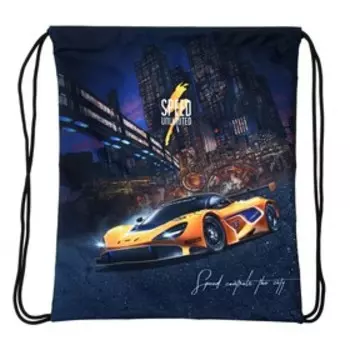 Мешок для обуви Stavia, 435 х 360 мм, "Гонка", мультиколор