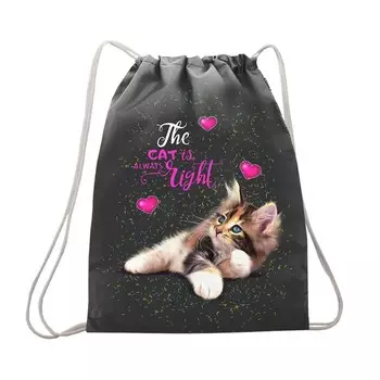 Мешок для обуви 430 х 340 мм, Stavia (плотность 600D с водоотталкивающей ПУ-пропиткой) "Котик всегда прав"