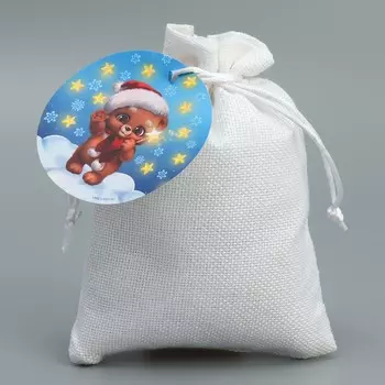 Мешок подарочный «Мишуля», 13 18 см +/- 1.5 см