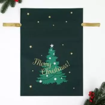 Мешок подарочный новогодний «Новогоднее чудо», 4056 см