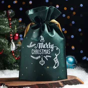 Мешок подарочный "Рождество", 22x32 см