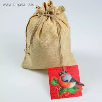 Мешок подарочный «Снегирь», 20 × 30 см