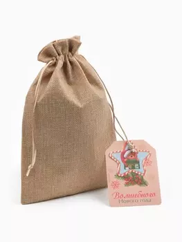 Мешок подарочный «Волшебного Нового года», 20 х 30 см