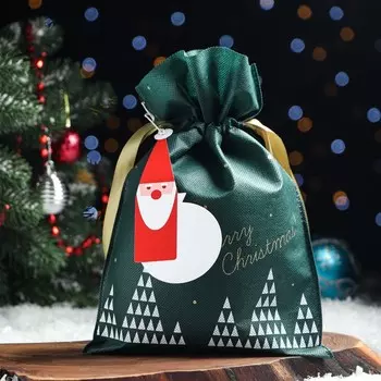 Мешок подарочный новогодний «Волшебный лес» зелёный, 2030 см