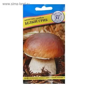 Мицелий грибов Белый гриб, 60 мл
