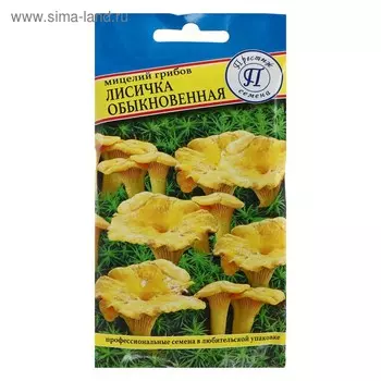 Мицелий грибов Лисичка обыкновенная, 50 мл