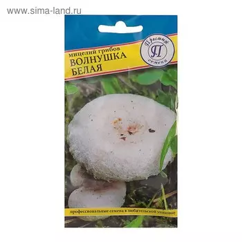 Мицелий грибов Волнушка белая, 60 мл