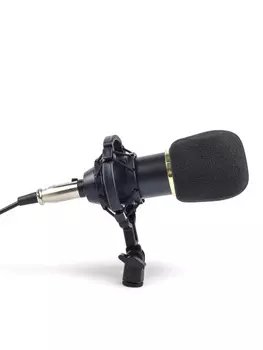 Микрофон конденсаторный Music Life золотой: кабель, ветрозащита, стойка