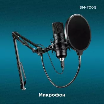 Микрофон проводной Оклик SM-700G 2.5м черный