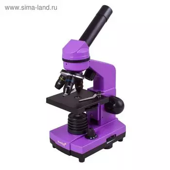 Микроскоп Levenhuk Rainbow 2L Amethyst/Аметист