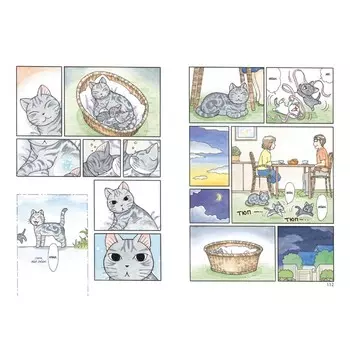 Милый дом Чи. Книга 11. Каната К.