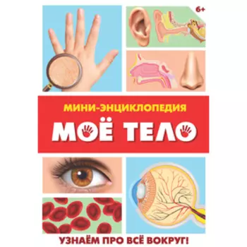 Мини-энциклопедия «Моё тело», 20 стр.