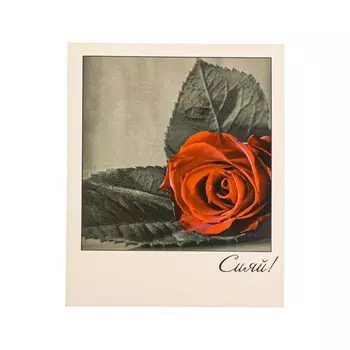 Мини-открытка «Сияй!», 910.5 см