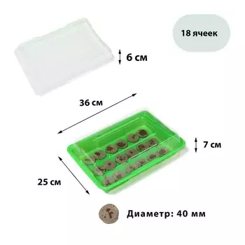 Мини-парник для рассады: торфяная таблетка d=4.2 см (18 шт.), парник 3625 см, зелёный