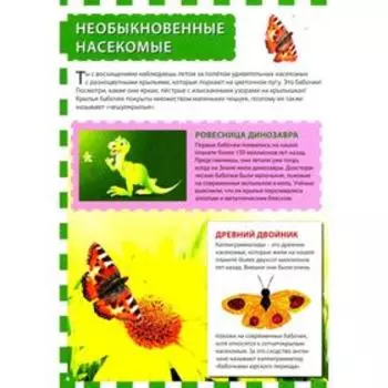 Мир бабочек