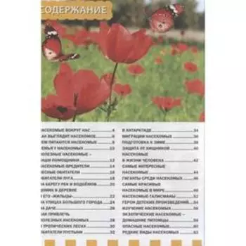 Мир насекомых