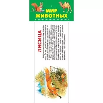 Мир животных