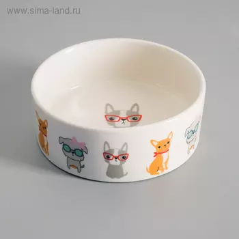 Миска керамическая «Важный пес» 250 мл - 11.511.55 см, белая