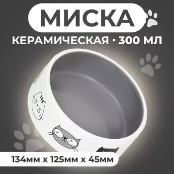 Миска керамическая "Четыре кота" 300 мл 12,5 x 4,5 cм, бело-серая