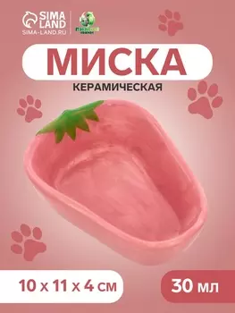Миска керамическая для грызунов «Клубника» 10114 см