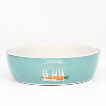 Миска керамическая "Для кроликов" 300мл, 12 х 3,5 см