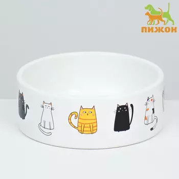 Миска керамическая «Котяры» 300 мл 12.54.5 cм, белая