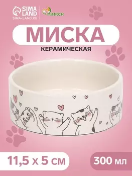 Миска керамическая «Любовь и кошки» 300 мл - 11.511.55 см, белая