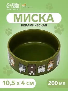 Миска керамическая «Парные коты» 200 мл - 10.510.54 см, зелёная