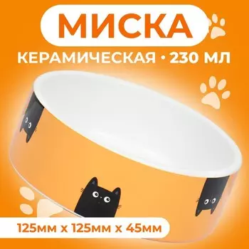 Миска керамическая "Удивление" 230 мл 12,5 x 4,5 cм, жёлтая