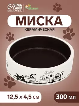 Миска керамическая «Весёлые котики» 300 мл - 12.512.54.5 cм, чёрная/белая