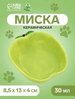 Миска керамическая «Зелёное яблоко» 30 мл - 8.5134 см, зелёная