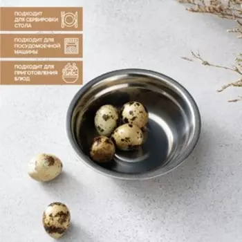 Миска Доляна «Мэйли», 250 мл, 134 см толщина 0.33 мм, нержавеющая сталь