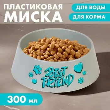 Миска пластиковая «Best Friend», серая, 300 мл