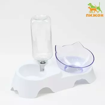 Миска прозрачная на белой подставке с бутылкой 30 х 15,5 х 12 см