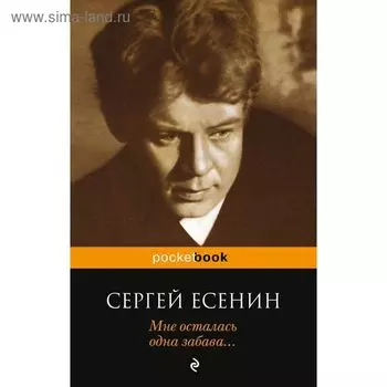 Мне осталась одна забава...