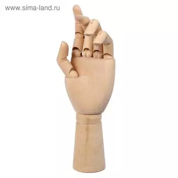 Модель деревянная рука, мужская, левая, 31 см