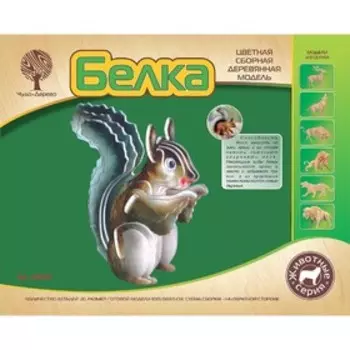 Модель деревянная сборная «Белка»