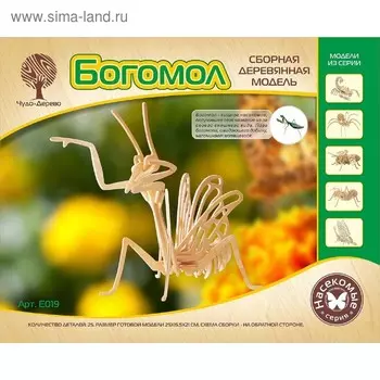 Модель деревянная сборная «Богомол»