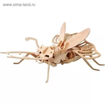 3D-модель сборная деревянная Чудо-Дерево «Жук-холостяк»