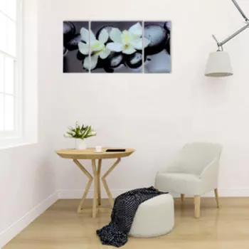 Модульная картина на стекле "Пара орхидей" 2-25*50см, 1-50*50см 100*50см