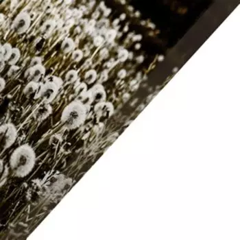 Модульная картина "Одуванчики" 114х70 см (30х30, 30х30, 38х47, 38х47, 38х47, 54х30) 114х70 см 760927