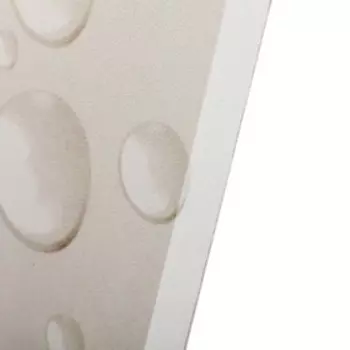 Модульная картина "Ветка орхидеи" (2-25х50, 2-25х67, 25х80 см) 80х140 см