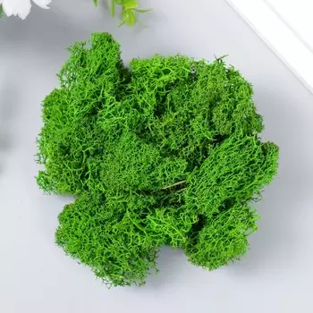 Мох стабилизированный «Салатовый» 500 г (+-5 г).