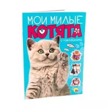 Мои милые котята