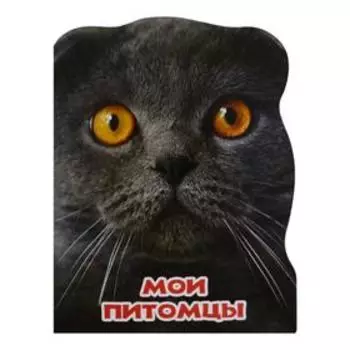 Мои питомцы